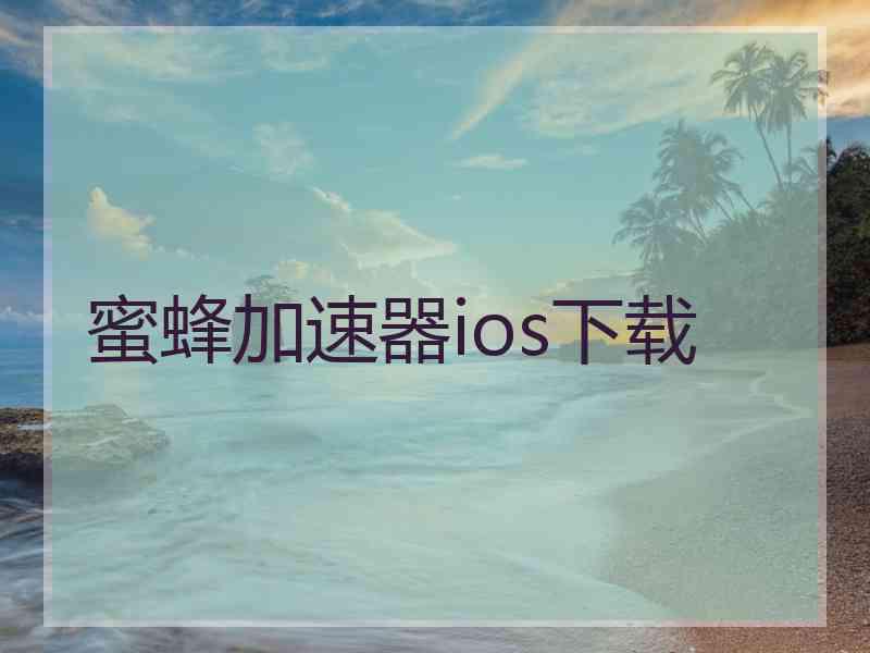 蜜蜂加速器ios下载