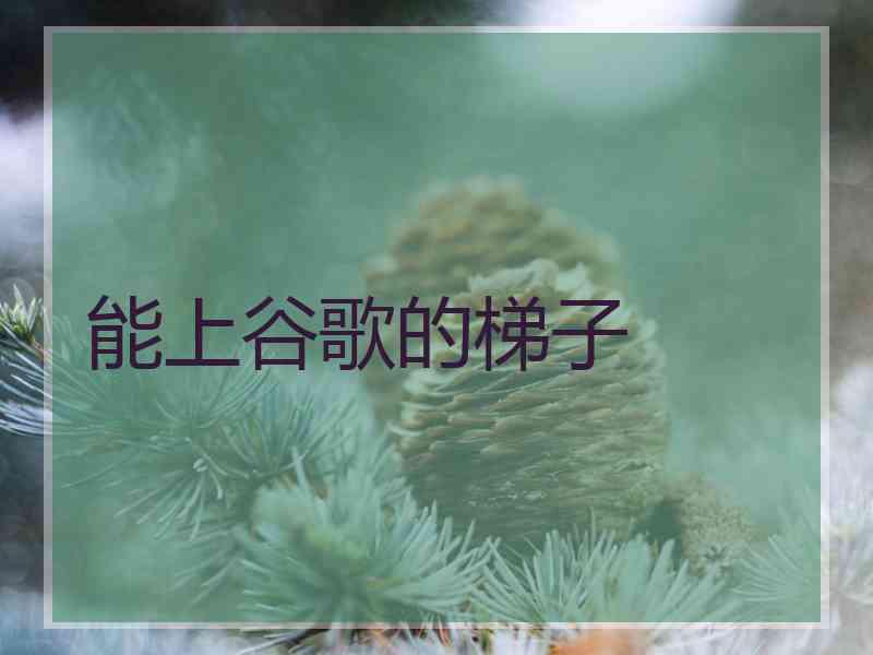 能上谷歌的梯子