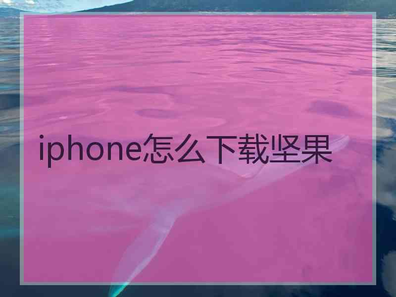 iphone怎么下载坚果
