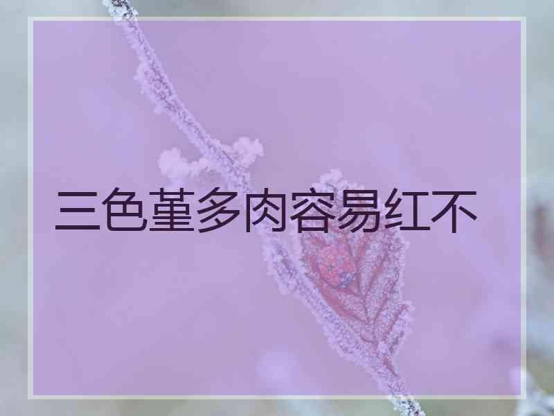 三色堇多肉容易红不