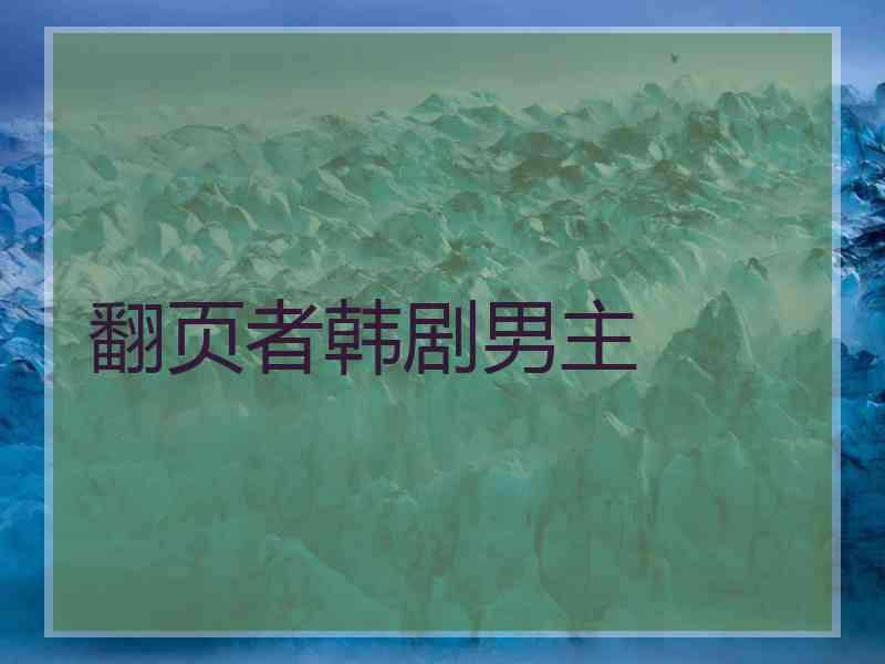 翻页者韩剧男主