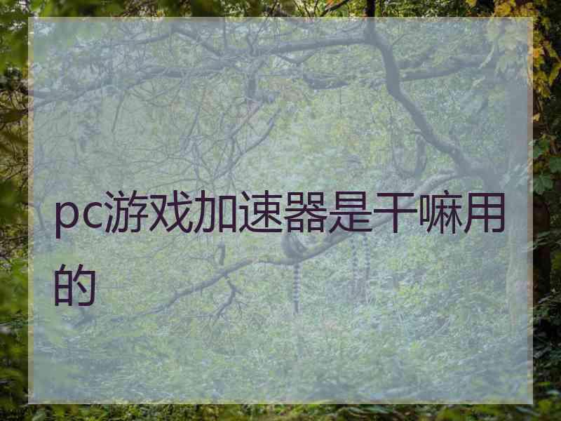 pc游戏加速器是干嘛用的