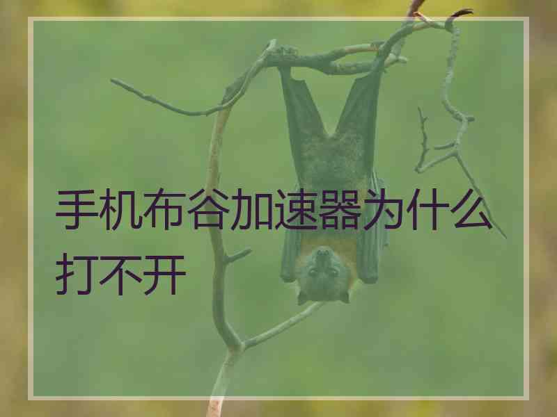 手机布谷加速器为什么打不开