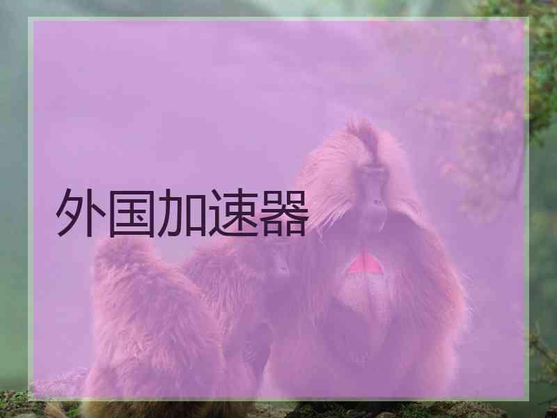 外国加速器