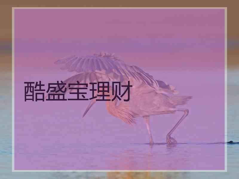 酷盛宝理财