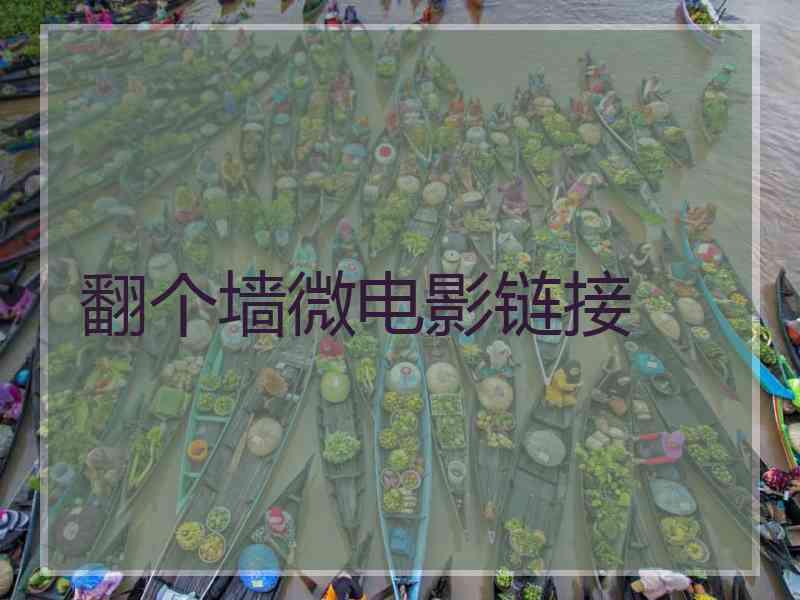 翻个墙微电影链接