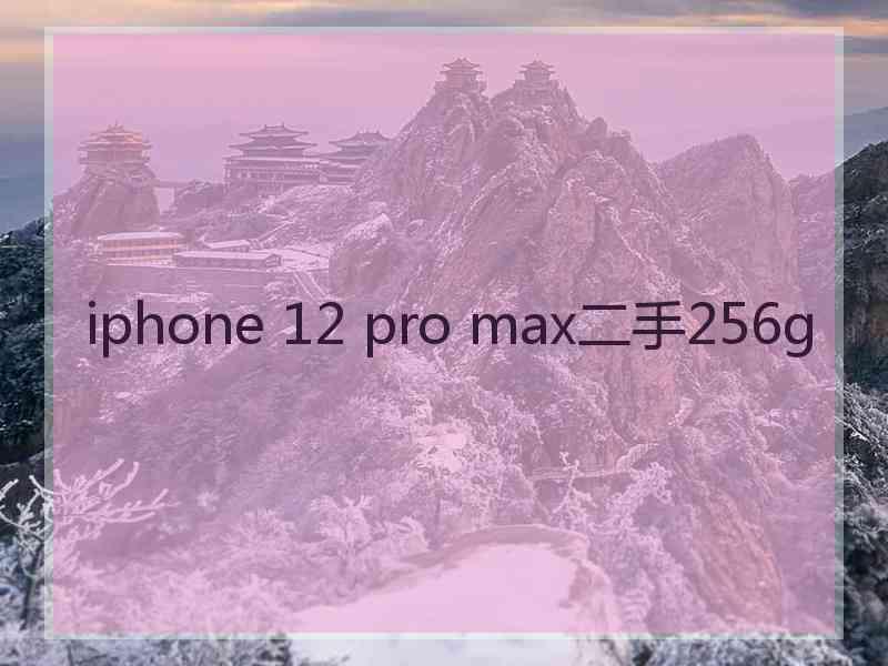 iphone 12 pro max二手256g