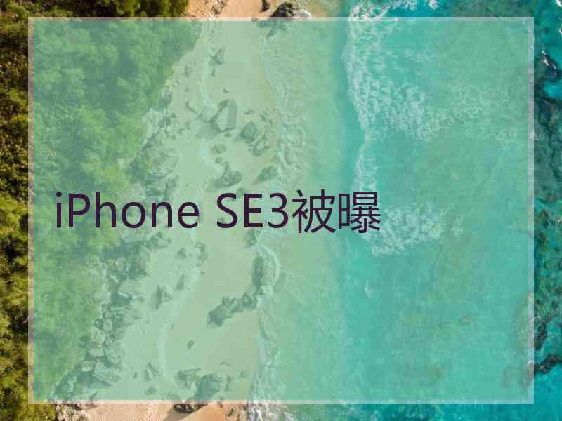 iPhone SE3被曝