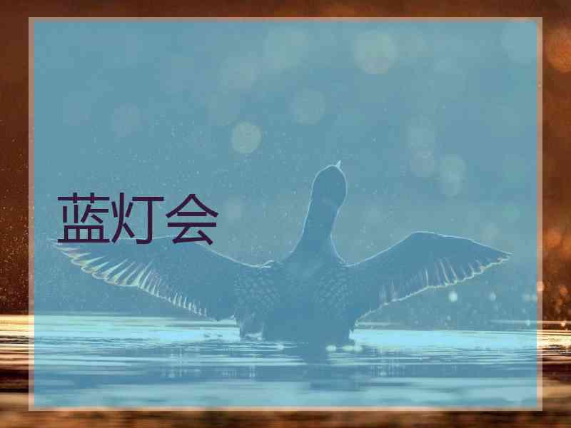 蓝灯会