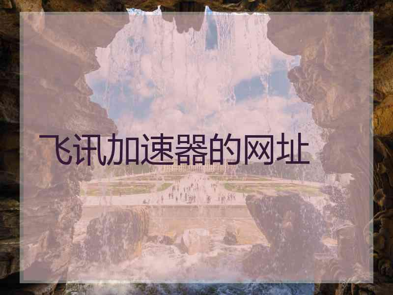飞讯加速器的网址