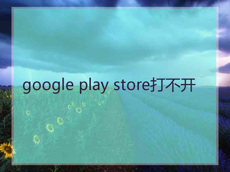 google play store打不开