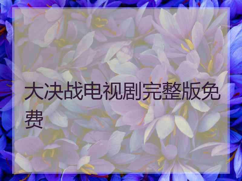 大决战电视剧完整版免费