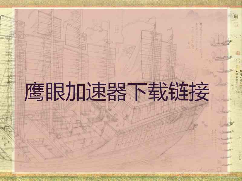 鹰眼加速器下载链接