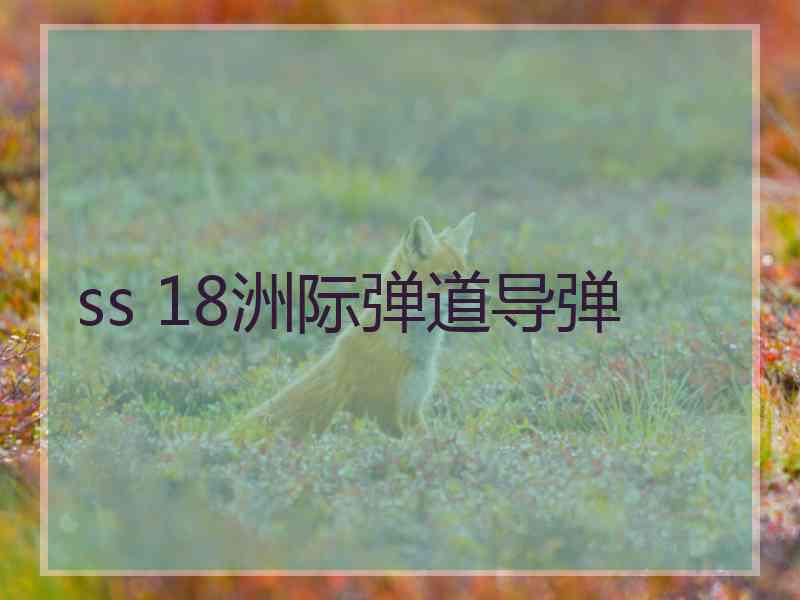 ss 18洲际弹道导弹