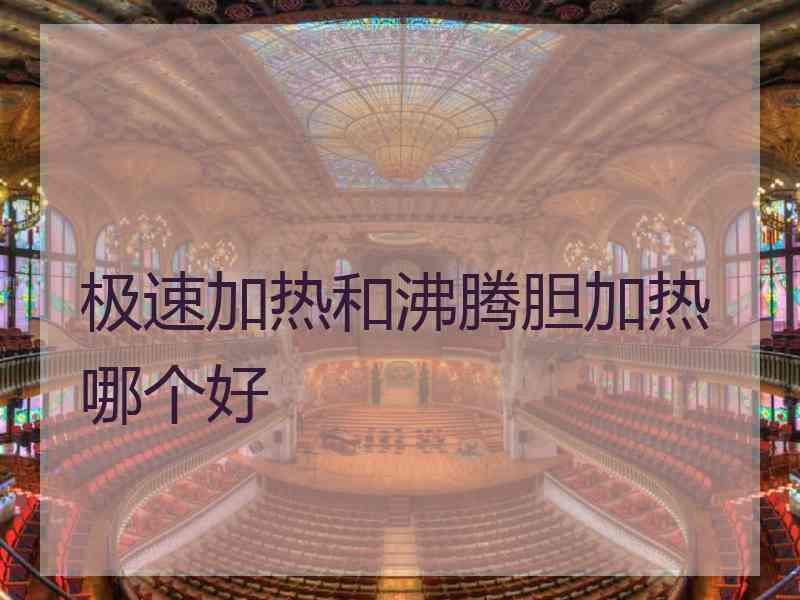 极速加热和沸腾胆加热哪个好
