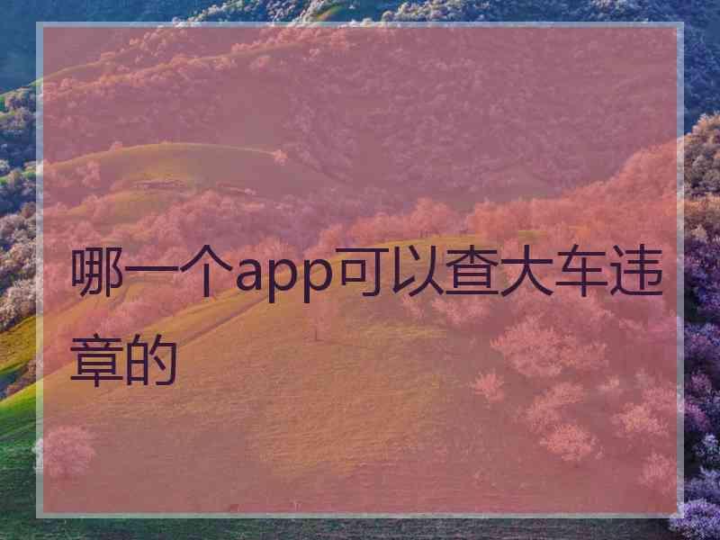 哪一个app可以查大车违章的