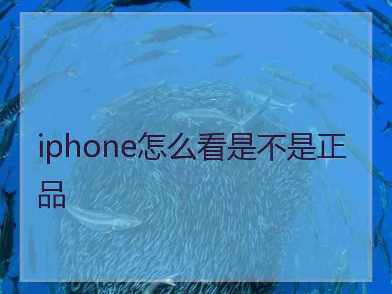 iphone怎么看是不是正品