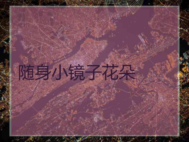 随身小镜子花朵