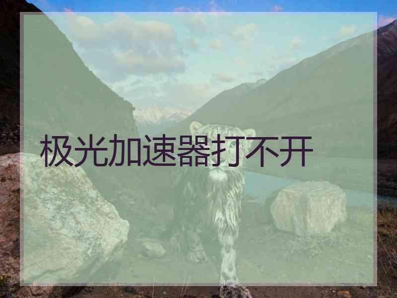 极光加速器打不开