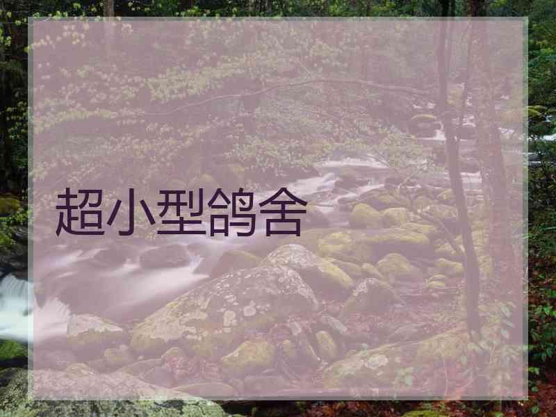 超小型鸽舍