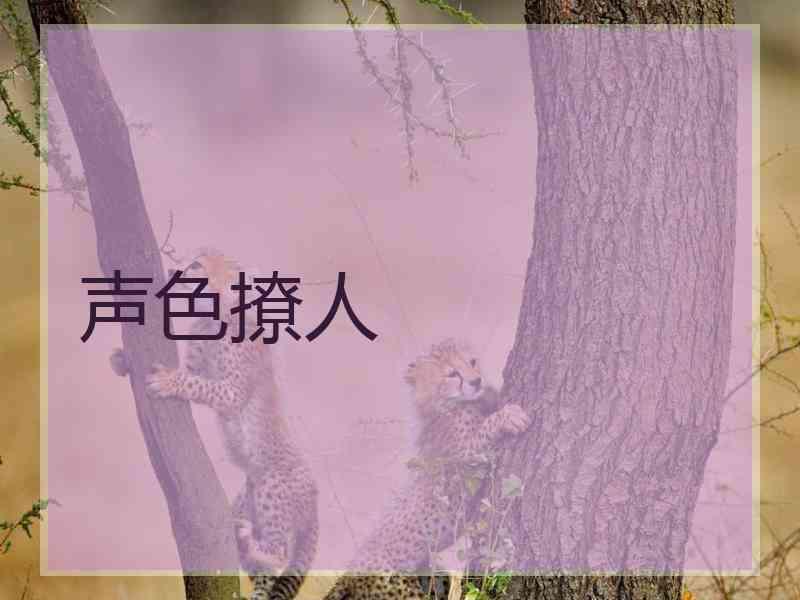 声色撩人