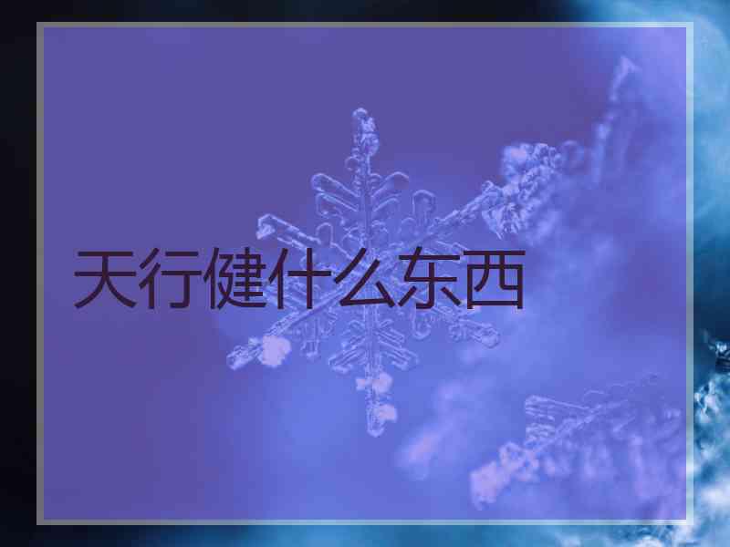 天行健什么东西