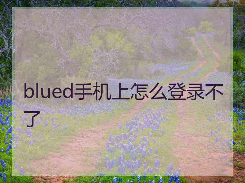 blued手机上怎么登录不了