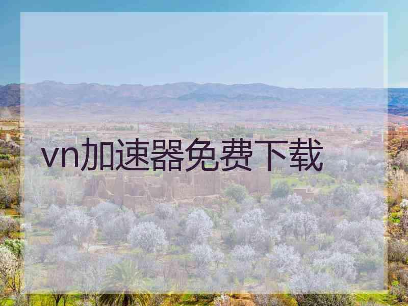 vn加速器免费下载