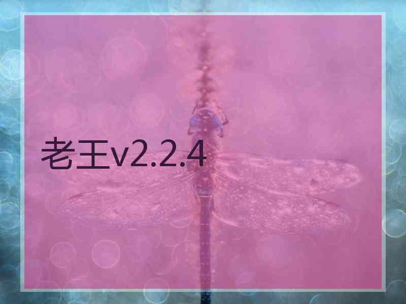 老王v2.2.4
