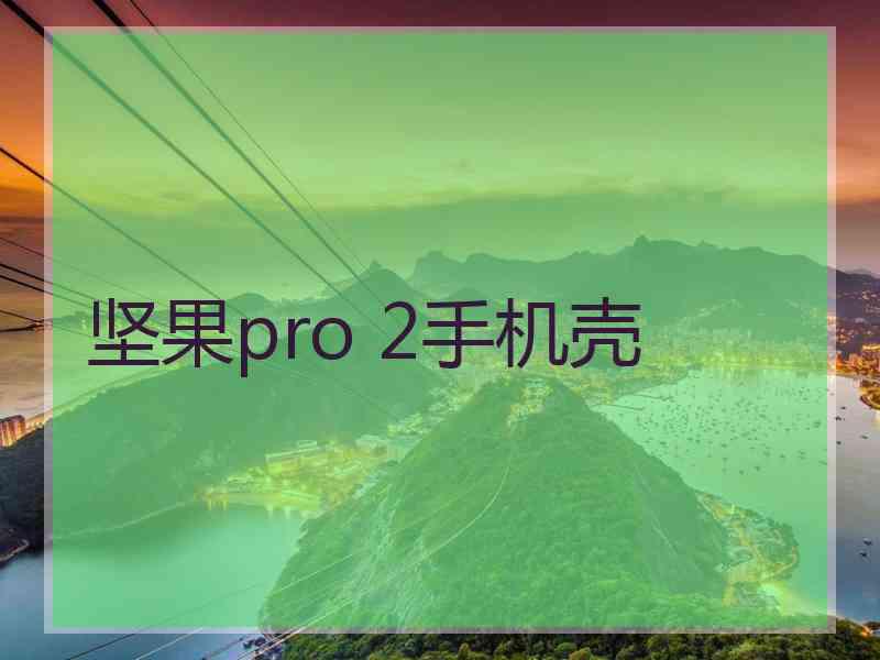 坚果pro 2手机壳