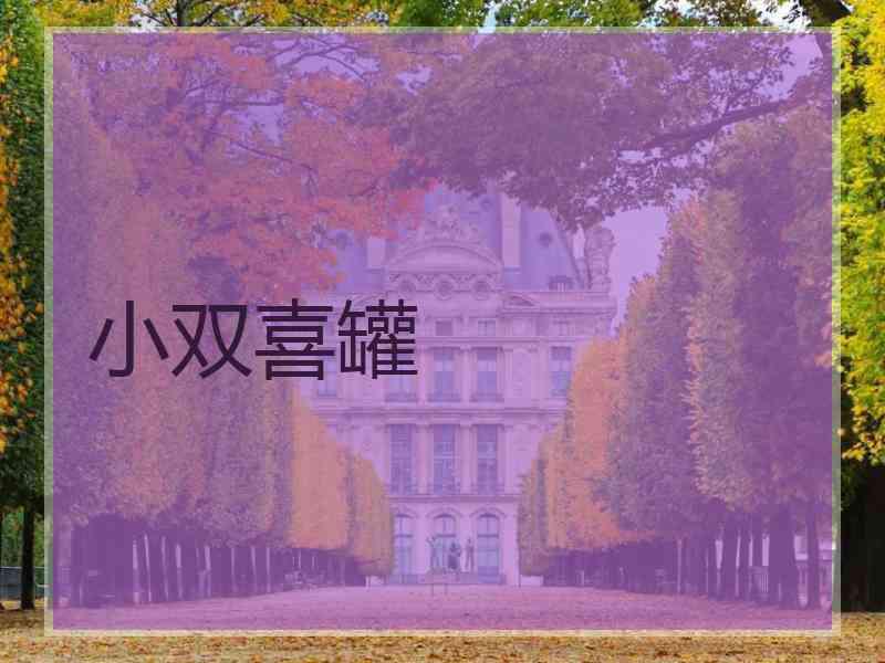 小双喜罐