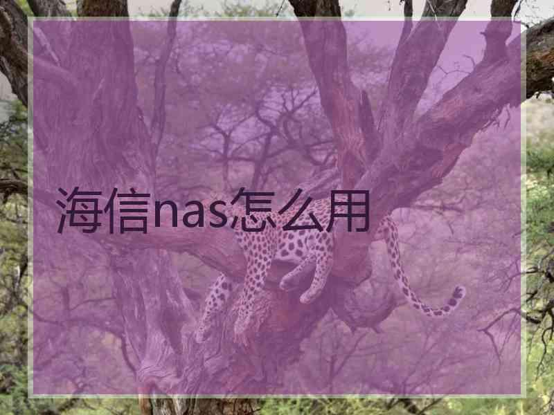 海信nas怎么用