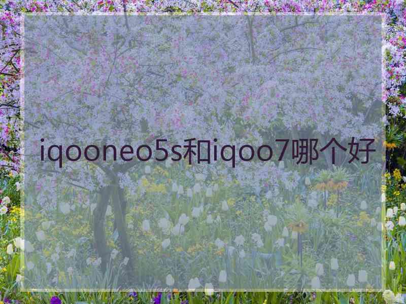 iqooneo5s和iqoo7哪个好