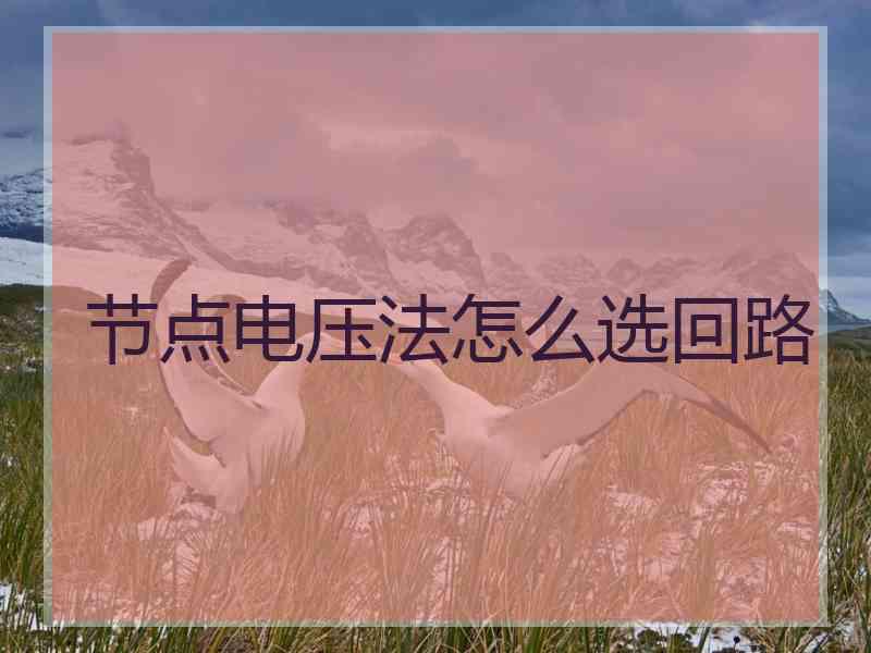 节点电压法怎么选回路