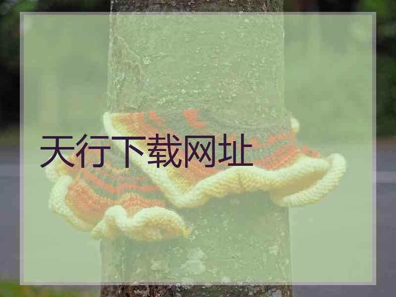天行下载网址