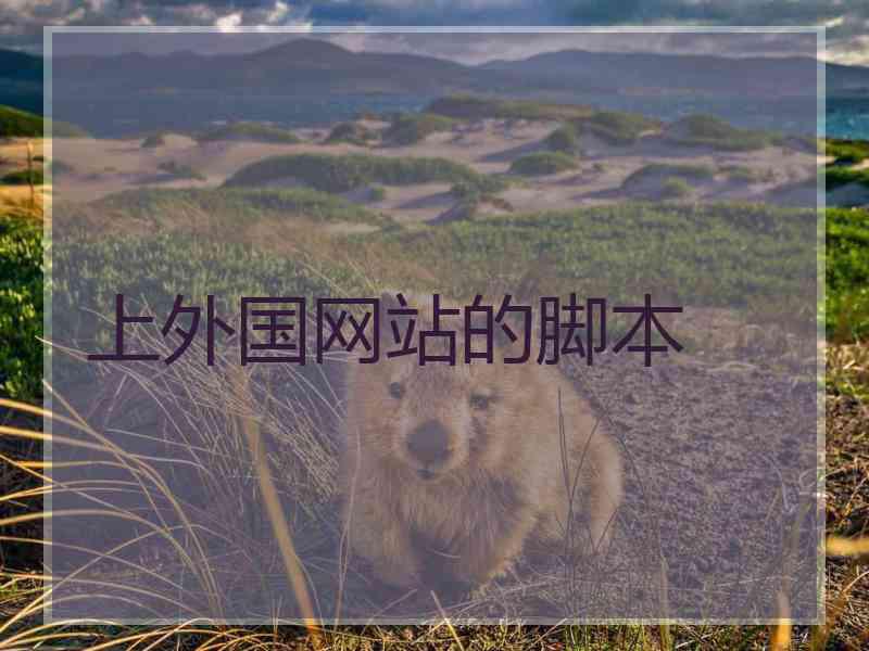 上外国网站的脚本