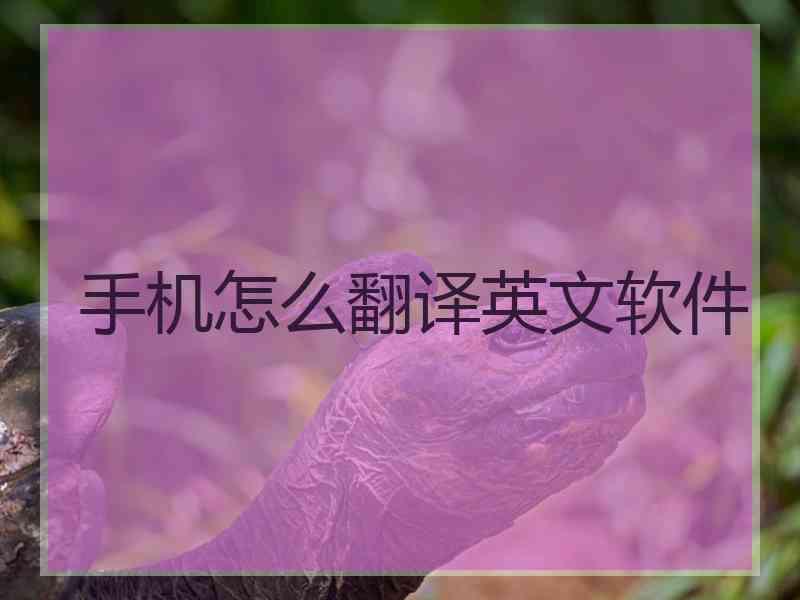 手机怎么翻译英文软件