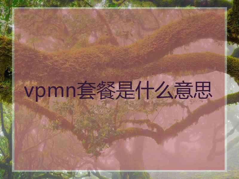 vpmn套餐是什么意思