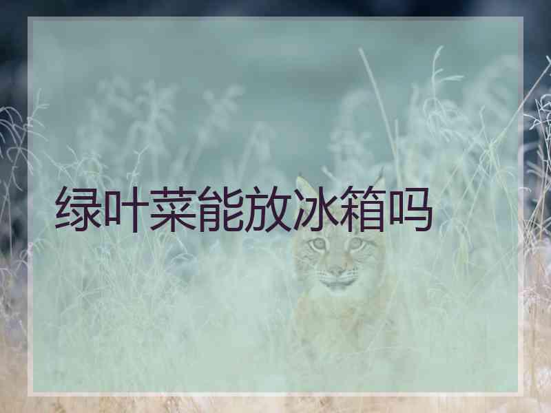 绿叶菜能放冰箱吗