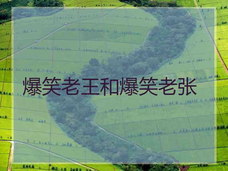 爆笑老王和爆笑老张