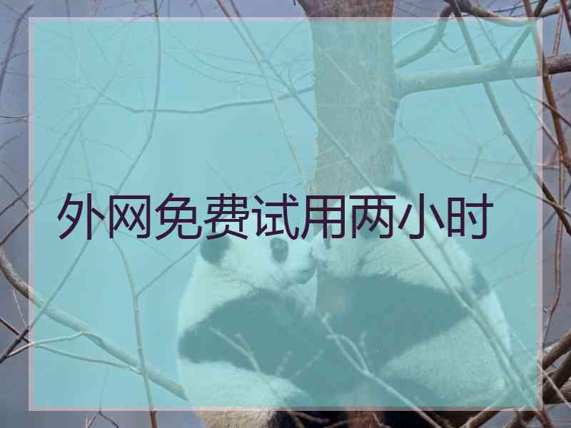 外网免费试用两小时