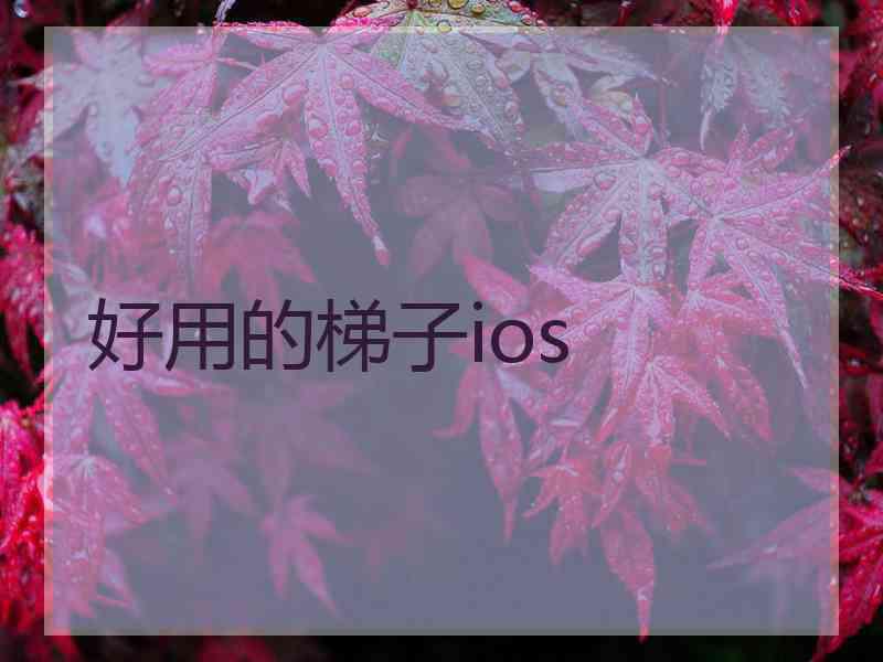 好用的梯子ios
