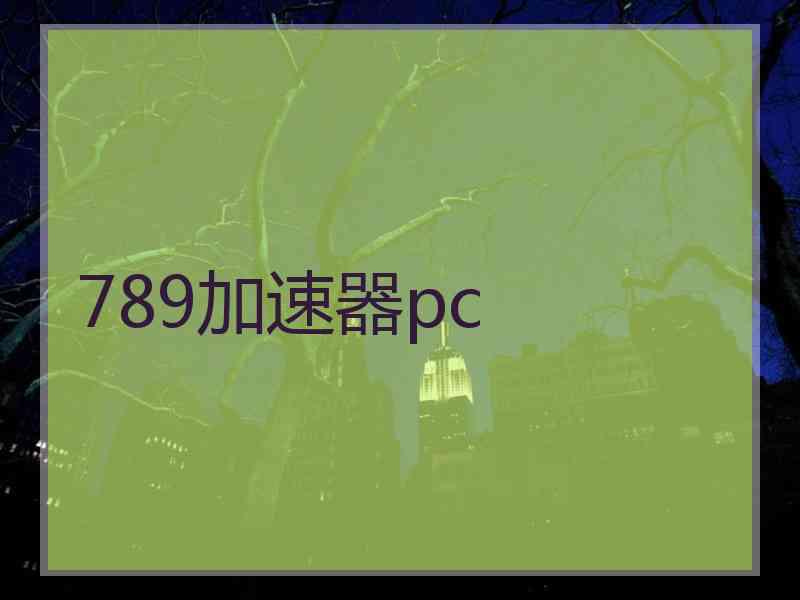 789加速器pc