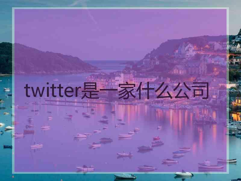 twitter是一家什么公司