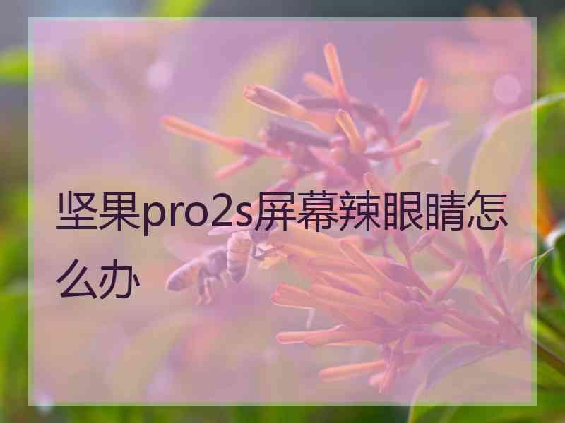 坚果pro2s屏幕辣眼睛怎么办