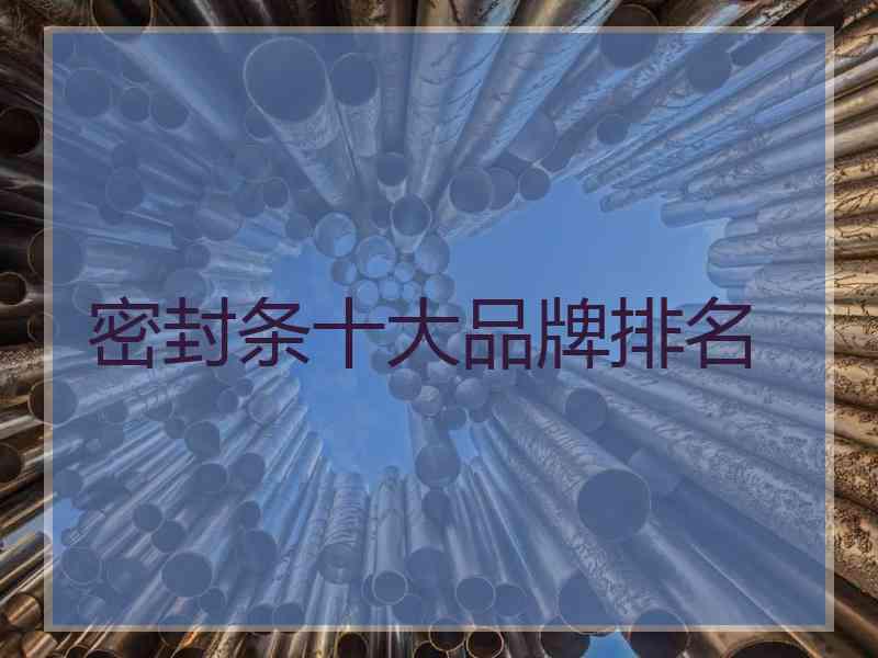 密封条十大品牌排名
