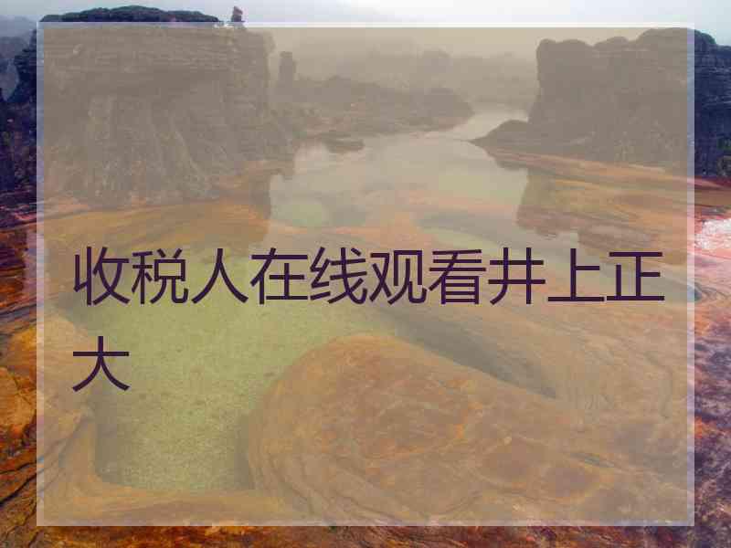 收税人在线观看井上正大