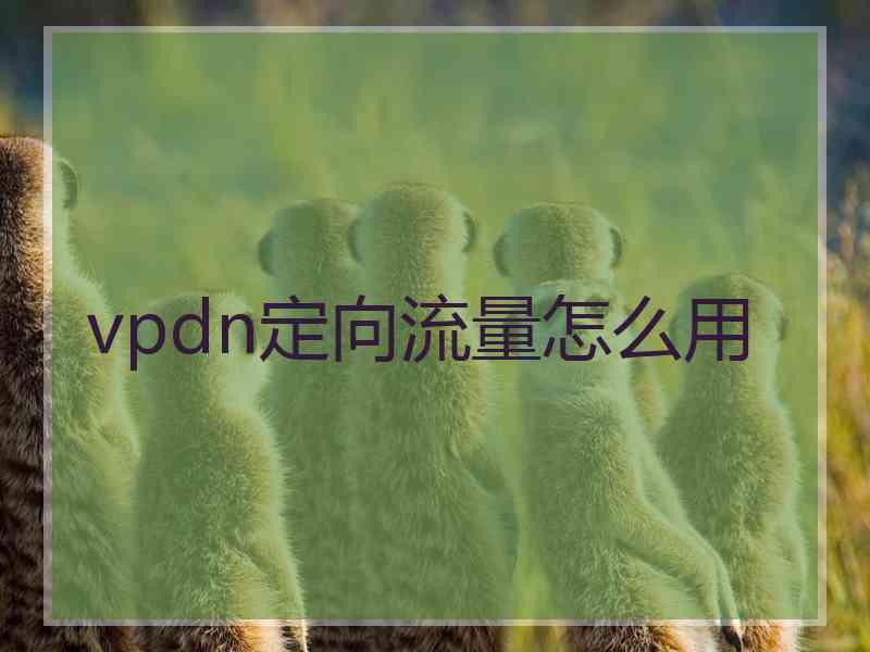 vpdn定向流量怎么用