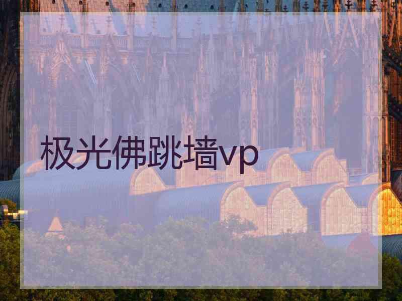 极光佛跳墙vp