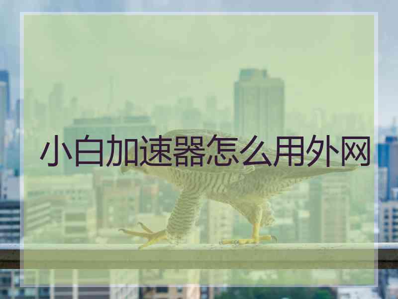 小白加速器怎么用外网